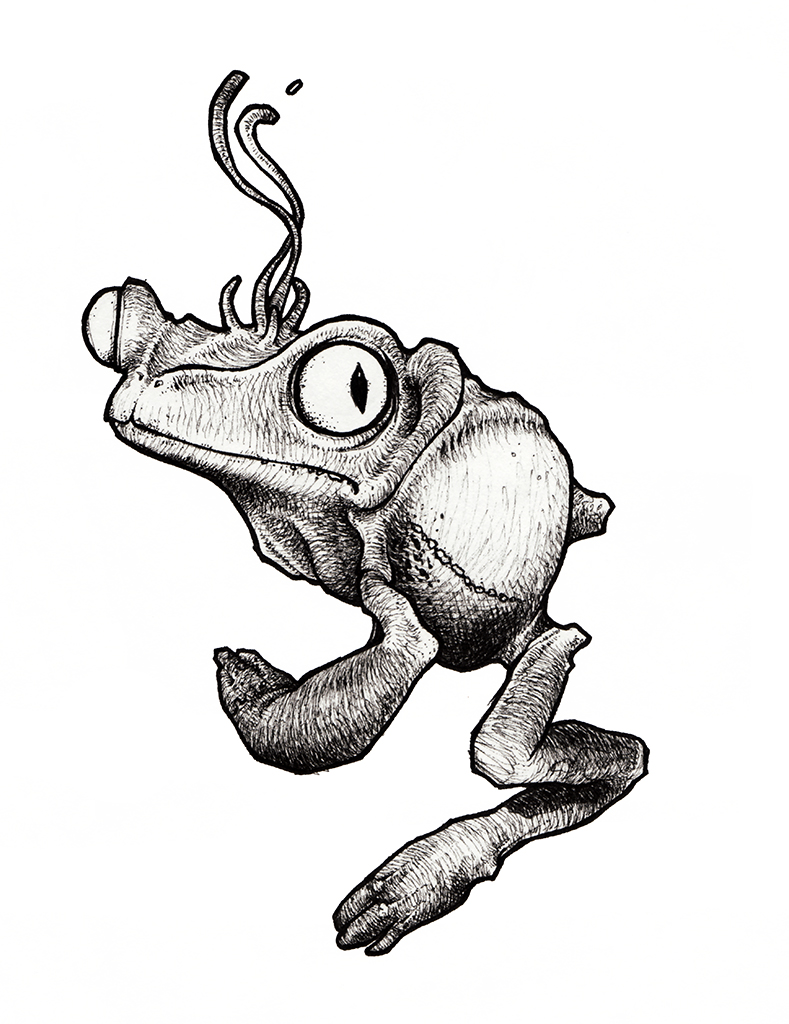 Dessin de Teddy Ros "Kambo" 2008 stylo noir sur papier 12 x 12 cm représentant la grenouille phyllomedusa bicolor
