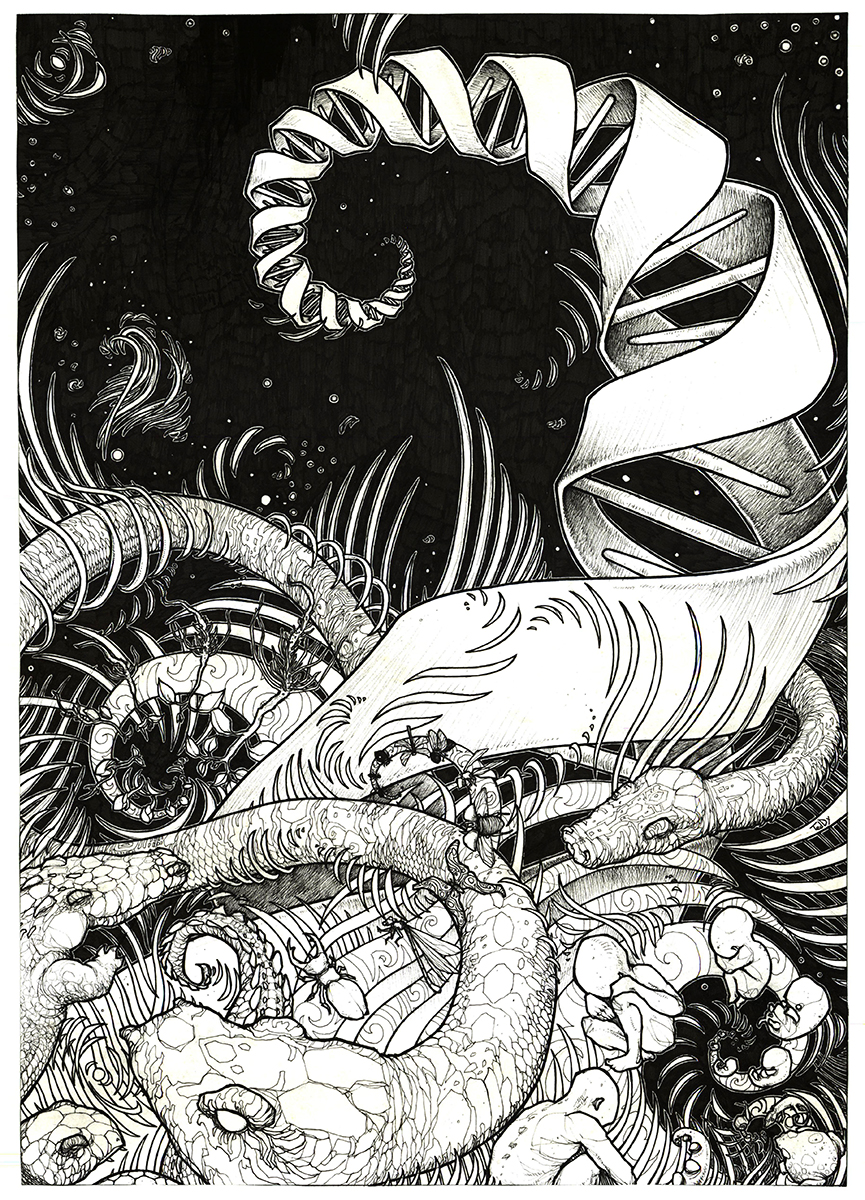 drawing "the cosmic serpent" 2007 black pen on paper 42 x 29.7 cm by Teddy Ros representing the cosmic serpent DNA and the origin of knowledge inspired by the book by Jeremy Narby