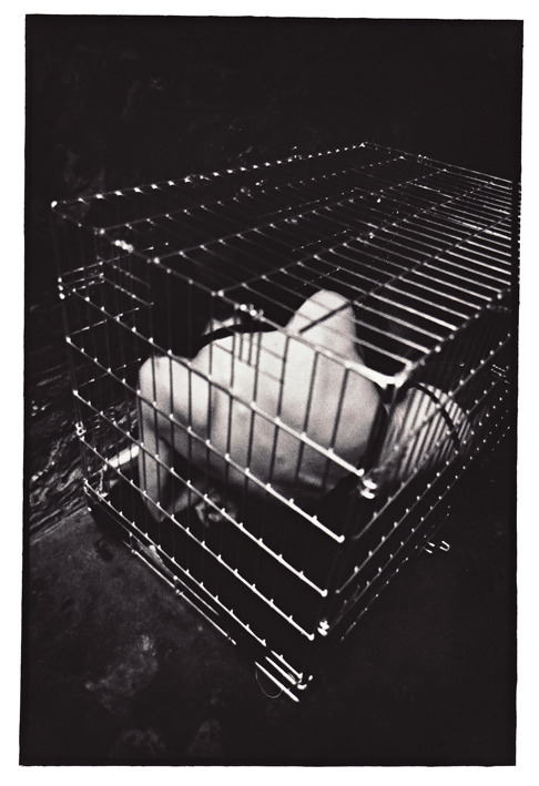 photographie argentique sophie 01, réalisé par Teddy Ros représentant une fille mince dans une cage