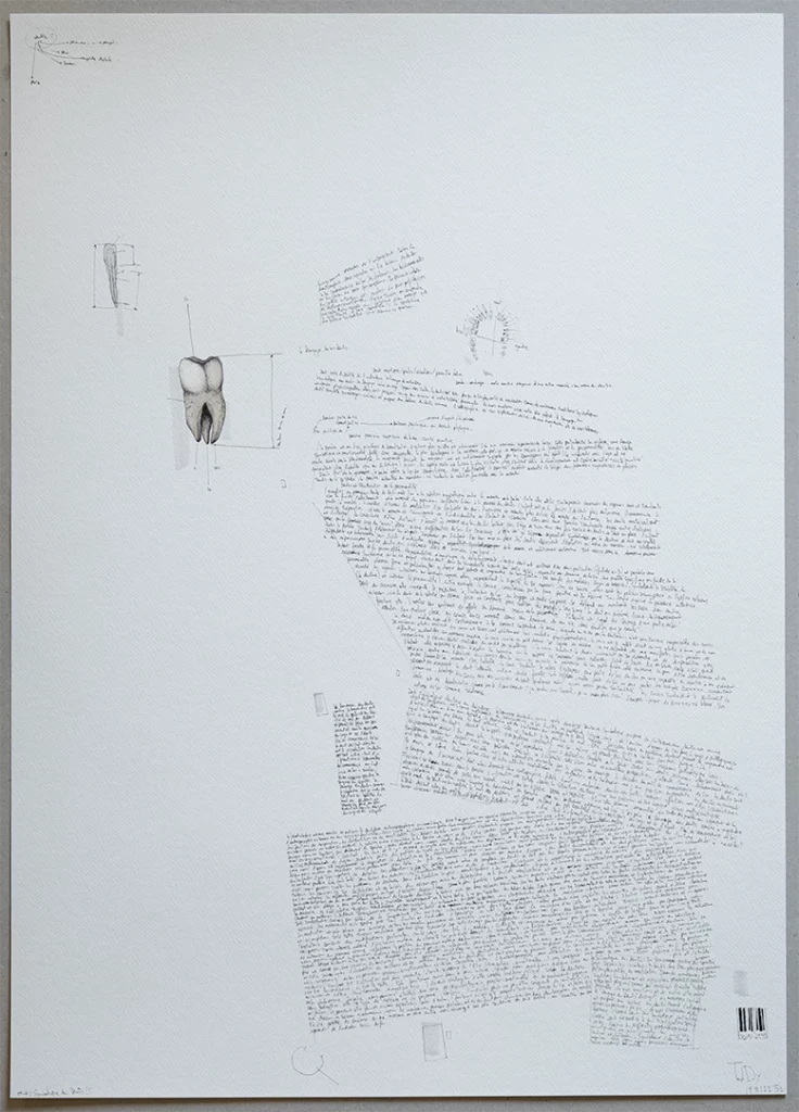 "introduction dentosophie" 2025, stylo noir, feutres sur papier, 100 x 70 cm, serie i-dent-ité 2025 dessin contemporain
