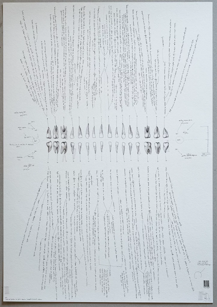 "symbolique des dents" 2025, stylo noir, feutres sur papier, 100 x 70 cm, serie i-dent-ité 2025 dessin contemporain