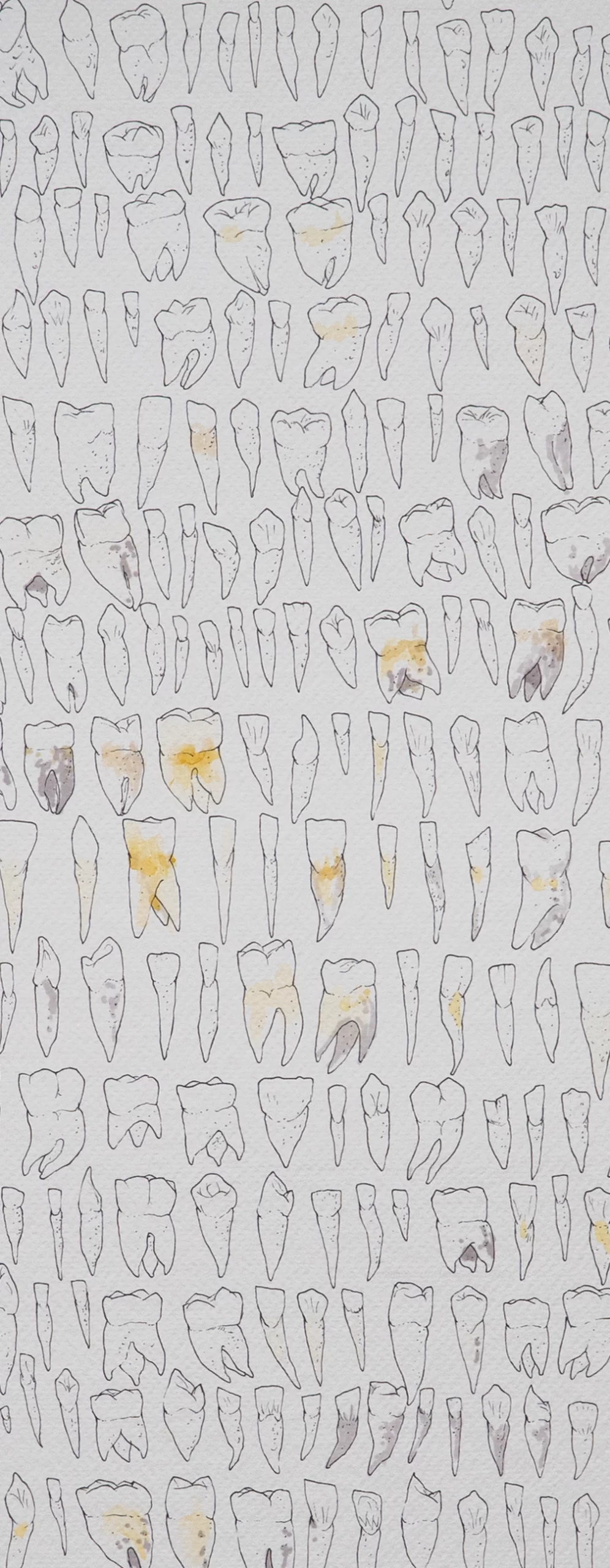 details "dental genealogical mapping" 2025, black pen, felt-tip pens on paper, 100 x 70 cm, i-dent-ité series 2025 contemporary drawing