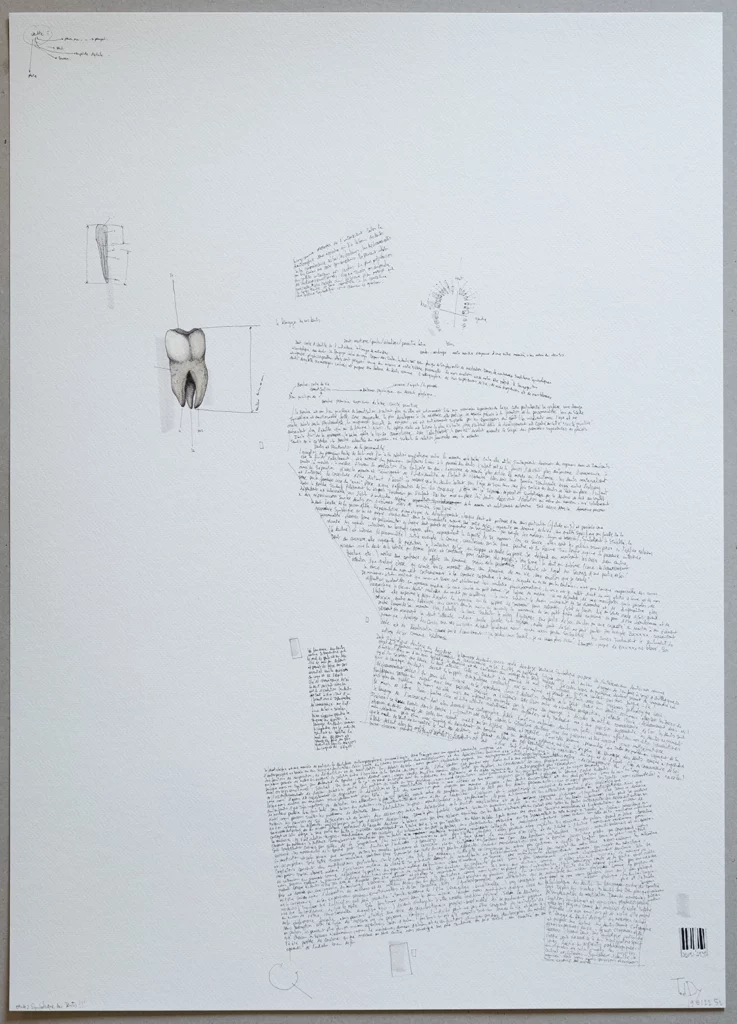 "introduction dentosophie" 2025, black pen, felt-tip pens on paper, 100 x 70 cm, i-dent-ité series 2025 contemporary drawing