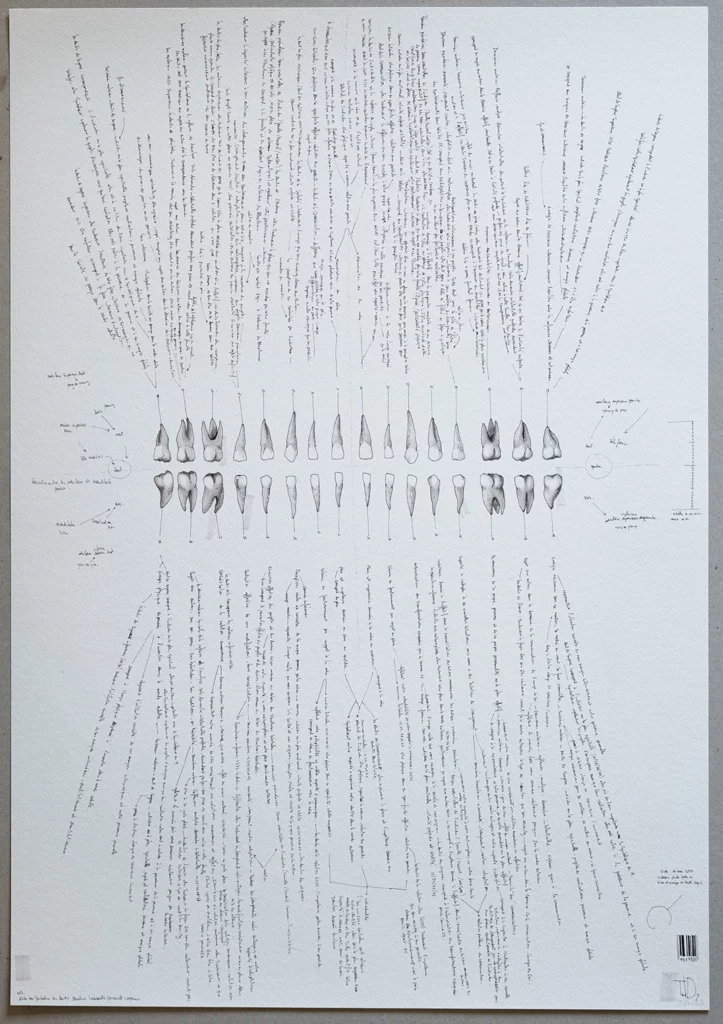 "symbolic of teeth" 2025, black pen, felt-tip pens on paper, 100 x 70 cm, i-dent-ité series 2025 contemporary drawing