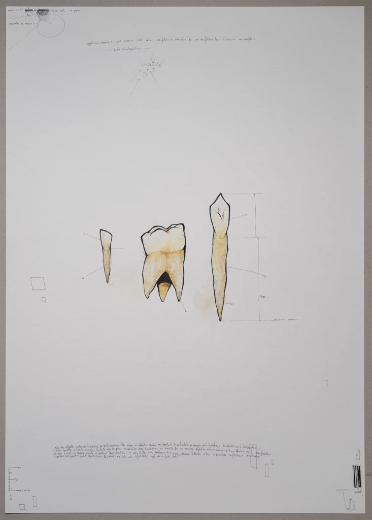 "trinity" 2025, black pen, watercolor on paper, 100 x 70 cm, i-dent-ity series 2025 contemporary drawing